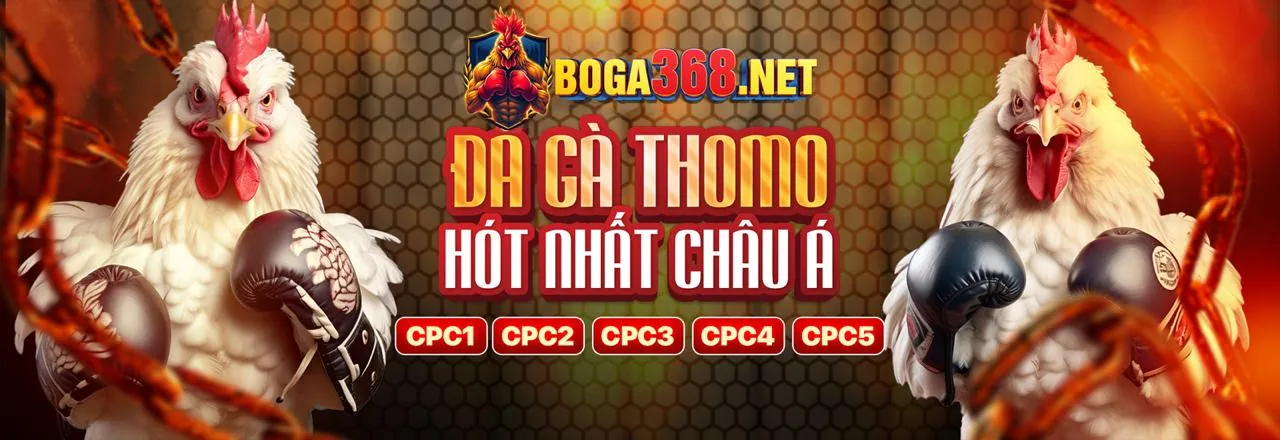 Hình ảnh chính về đăng nhập Gowin an toàn